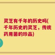 灵芝有千年的历史吗(千年历史的灵芝，传统药用菌的珍品)