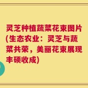 灵芝种植蔬菜花束图片(生态农业：灵芝与蔬菜共荣，美丽花束展现丰硕收成)