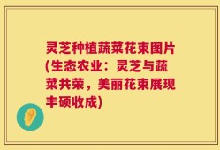 灵芝种植蔬菜花束图片(生态农业：灵芝与蔬菜共荣，美丽花束展现丰硕收成)