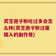 灵芝孢子粉吃过多会怎么样(灵芝孢子粉过量摄入的副作用)