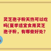 灵芝孢子粉天热可以吃吗(夏季适宜食用灵芝孢子粉，有哪些好处？