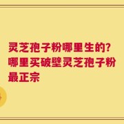 灵芝孢子粉哪里生的？哪里买破壁灵芝孢子粉最正宗