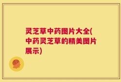 灵芝草中药图片大全(中药灵芝草的精美图片展示)