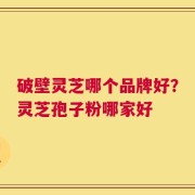 破壁灵芝哪个品牌好？灵芝孢子粉哪家好