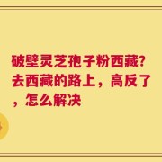 破壁灵芝孢子粉西藏？去西藏的路上，高反了，怎么解决