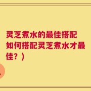 灵芝煮水的最佳搭配 如何搭配灵芝煮水才最佳？)