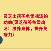 灵芝土茯苓龟煲鸡汤的功效(灵芝茯苓龟煲鸡汤：滋养身体，提升免疫力)