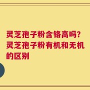 灵芝孢子粉含铬高吗？灵芝孢子粉有机和无机的区别