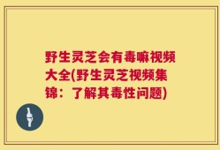 野生灵芝会有毒嘛视频大全(野生灵芝视频集锦：了解其毒性问题)
