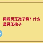 同源灵芝孢子粉？什么是灵芝孢子