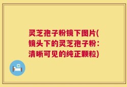灵芝孢子粉镜下图片(镜头下的灵芝孢子粉：清晰可见的纯正颗粒)