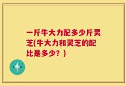 一斤牛大力配多少斤灵芝(牛大力和灵芝的配比是多少？)