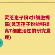 灵芝孢子粉对t细胞提高(灵芝孢子粉能够提高T细胞活性的研究发现)