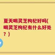 夏天喝灵芝枸杞好吗(喝灵芝枸杞有什么好处？)