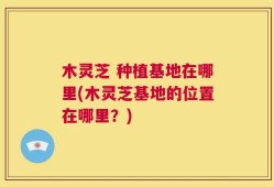 木灵芝 种植基地在哪里(木灵芝基地的位置在哪里？)