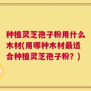 种植灵芝孢子粉用什么木材(用哪种木材最适合种植灵芝孢子粉？)
