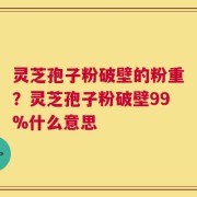 灵芝孢子粉破壁的粉重？灵芝孢子粉破壁99%什么意思