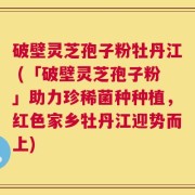 破壁灵芝孢子粉牡丹江 (「破壁灵芝孢子粉」助力珍稀菌种种植，红色家乡牡丹江迎势而上)