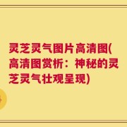 灵芝灵气图片高清图(高清图赏析：神秘的灵芝灵气壮观呈现)