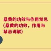 桑黄的功效与作用禁忌(桑黄的功效，作用与禁忌详解)