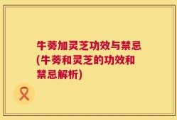 牛蒡加灵芝功效与禁忌(牛蒡和灵芝的功效和禁忌解析)