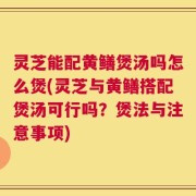 灵芝能配黄鳝煲汤吗怎么煲(灵芝与黄鳝搭配煲汤可行吗？煲法与注意事项)
