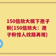 150倍放大镜下孢子粉(150倍放大：孢子粉惊人纹路再现)