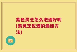 紫色灵芝怎么泡酒好呢(紫灵芝佐酒的最佳方法)