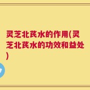 灵芝北芪水的作用(灵芝北芪水的功效和益处)