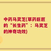 中药马灵芝(草药巨匠的“长生药”：马灵芝的神奇功效)