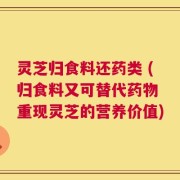 灵芝归食料还药类 (归食料又可替代药物 重现灵芝的营养价值)
