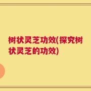 树状灵芝功效(探究树状灵芝的功效)