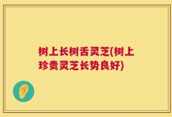 树上长树舌灵芝(树上珍贵灵芝长势良好)