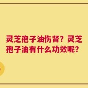灵芝孢子油伤肾？灵芝孢子油有什么功效呢？