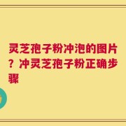 灵芝孢子粉冲泡的图片？冲灵芝孢子粉正确步骤