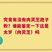 究竟有没有肉灵芝孢子粉？谁能鉴定一下这是太岁（肉灵芝）吗