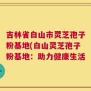 吉林省白山市灵芝孢子粉基地(白山灵芝孢子粉基地：助力健康生活