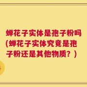 蝉花子实体是孢子粉吗(蝉花子实体究竟是孢子粉还是其他物质？)