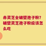 赤灵芝全破壁孢子粉？破壁灵芝孢子粉应该怎么吃