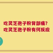 吃灵芝孢子粉背部痛？吃灵芝孢子粉有何反应