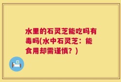 水里的石灵芝能吃吗有毒吗(水中石灵芝：能食用却需谨慎？)