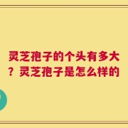 灵芝孢子的个头有多大？灵芝孢子是怎么样的