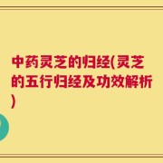 中药灵芝的归经(灵芝的五行归经及功效解析)