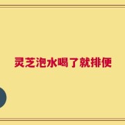 灵芝泡水喝了就排便