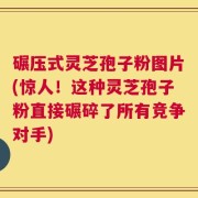 碾压式灵芝孢子粉图片(惊人！这种灵芝孢子粉直接碾碎了所有竞争对手)
