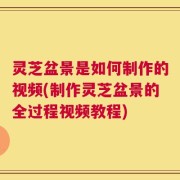 灵芝盆景是如何制作的视频(制作灵芝盆景的全过程视频教程)