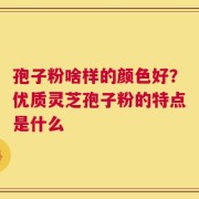 孢子粉啥样的颜色好？优质灵芝孢子粉的特点是什么