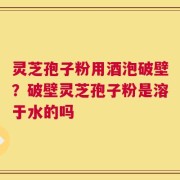 灵芝孢子粉用酒泡破壁？破壁灵芝孢子粉是溶于水的吗