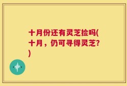 十月份还有灵芝捡吗(十月，仍可寻得灵芝？)