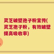 灵芝破壁孢子粉宣传(灵芝孢子粉，有效破壁提高吸收率)